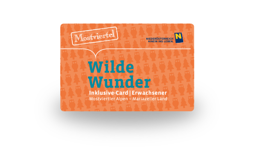 Wilde Wunder Card